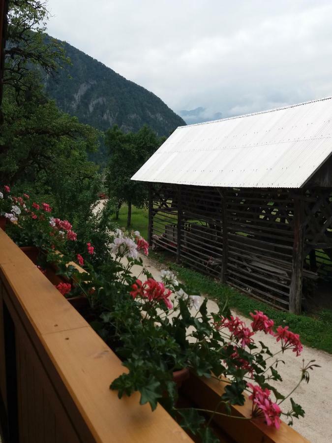 Apartma Momo Bohinji-tó Kültér fotó