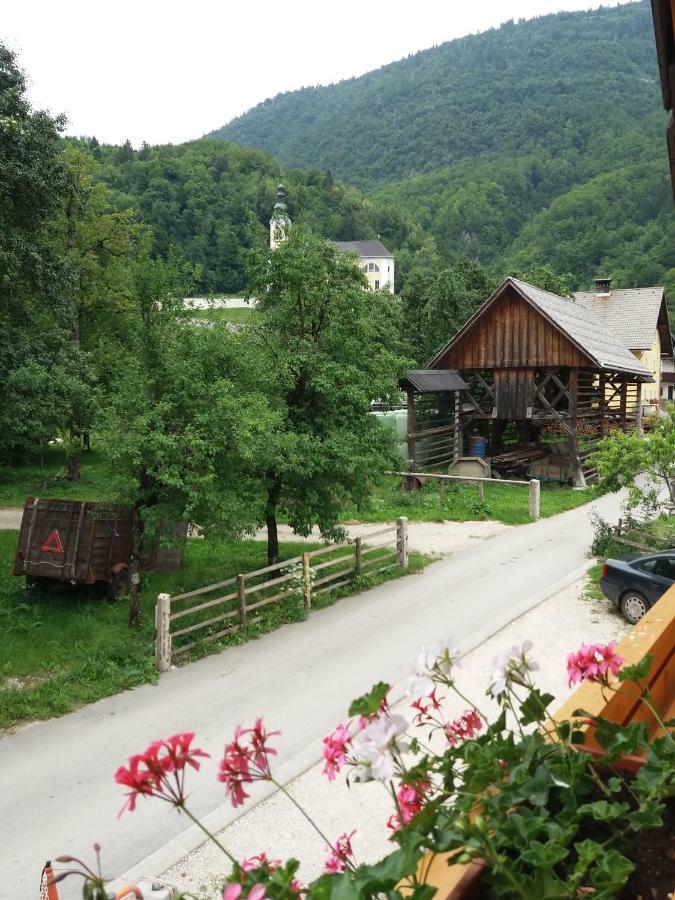 Apartma Momo Bohinji-tó Kültér fotó